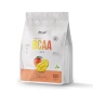  FitRule BCAA Powder 500 