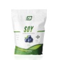 Протеин 2SN Soy Protein 900 гр